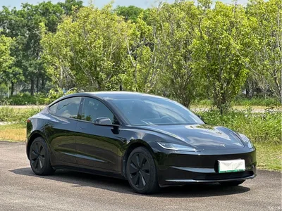 2025 Tesla Model 3 Model Rear-Wheel Drive Edition, фото 3, лот 10615302