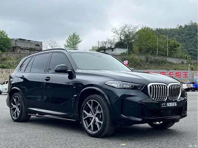 2023 BMW X5 xDrive 30Li Premium M Sport Package, фото 3, лот 10462692