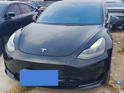 2022 Tesla Model 3 Model Rear-Wheel Drive Version, фото 1, лот 11067784