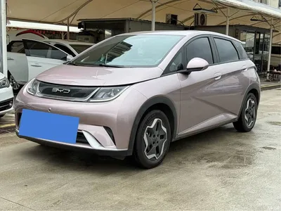 2021 BYD Dolphin 405km Freedom Edition, фото 1, лот 11547779