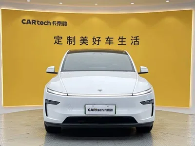 2026 Tesla Model Y Long Range All-Wheel Drive, фото 3, лот 11249488