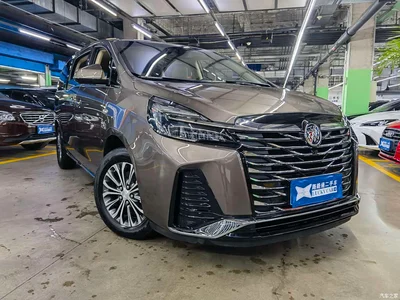 2023 Buick GL8 Facelift Land Business Class Luxury, фото 3, лот 10249729