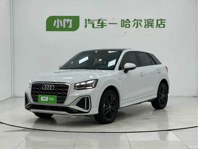 2022 Audi Q2L 35 TFSI Progressive Dynamic, фото 1, лот 10409289