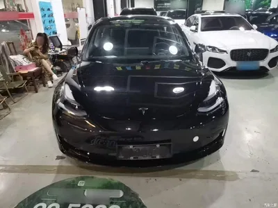 2022 Tesla Model 3 Model Rear-Wheel Drive Version, фото 3, лот 10666838