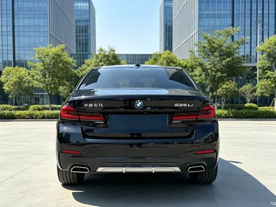 2022 BMW 5 Series 525Li Luxury Package, фото 4, лот 10479078
