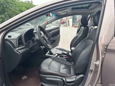 2016 Hyundai Elantra 1.6L Auto Smart·Luxury Edition, фото 4, лот 10372888