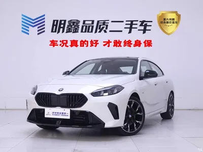 2025 BMW 2 Series 225L M Sport Moonlight Package, фото 1, лот 10408536