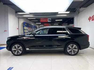 2021 Hongqi E-HS9 460km Flagship Comfort 6-seater, фото 4, лот 10286854