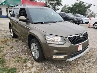 2017 Škoda Yeti TSI280 DSG Advance, фото 4, лот 11007058