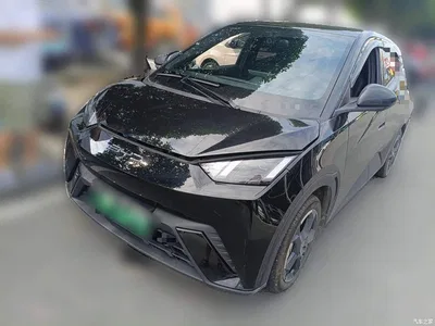 2023 BYD Seagull Freedom Edition, фото 1, лот 10769105