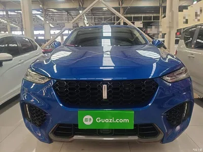 2017 WEY VV7 2.0T Flagship, фото 3, лот 11193192
