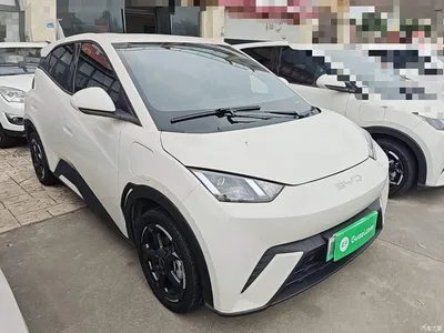 2023 BYD Seagull Freedom Edition, фото 4, лот 11579178