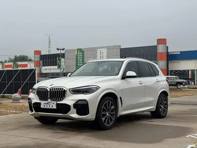 2019 BMW X5 (Import) xDrive40i M Sport Package, фото 1, лот 11179518