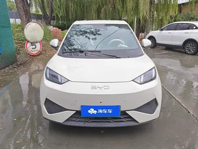 2025 BYD Seagull Smart Drive Edition 305km Freedom Version, фото 2, лот 11134685