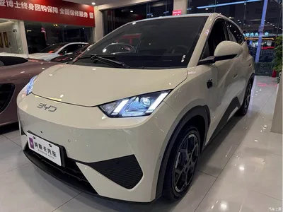 2025 BYD Seagull Smart Drive Edition 305km Freedom Version, фото 1, лот 10450505