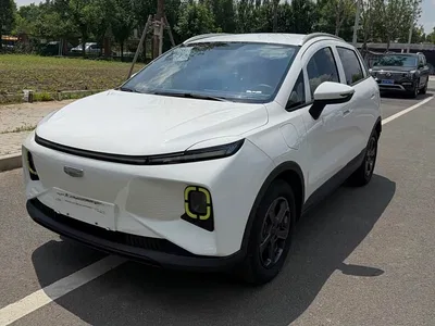 2022 Geely E Firefly 320KM Well-behaved Tiger 4-seater, фото 1, лот 11157019