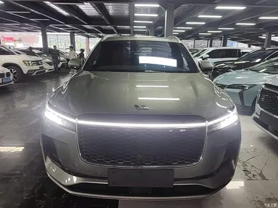 2021 Li Auto Li ONE Extended Range 6-Seater, фото 3, лот 10832439