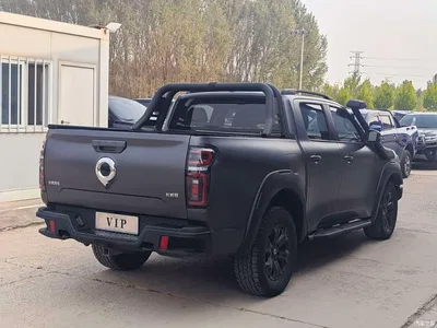 2023 Great Wall Pao 2.0T Off-Road Edition Automatic Gasoline 4WD Everest Edition, фото 2, лот 10894574