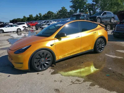 2023 TESLA MODEL Y, фото 1, лот 10854227