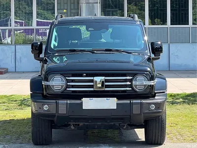 2023 Tank 300 Urban Edition 2.0T Very Stylish, фото 2, лот 10450087