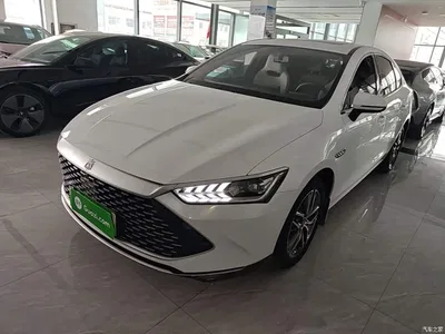 2023 BYD Qin PLUS Champion Edition DM-i 120KM Leading Type, фото 1, лот 11203372