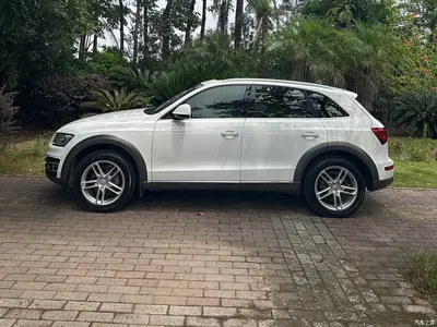 2017 Audi Q5 Plus 40 TFSI Technology, фото 3, лот 10473441