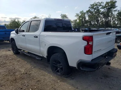 2020 CHEVROLET SILVERADO K1500 LT TRAIL BOSS, фото 2, лот 11559914