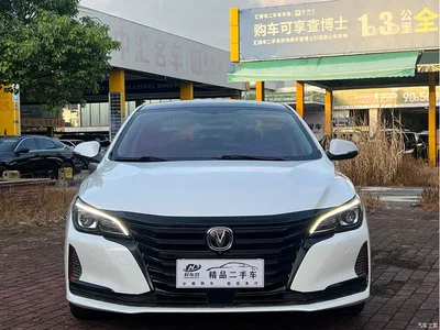 2021 Changan Ruicheng CC Blue Whale Edition 1.5T DCT Luxury, фото 2, лот 10274814