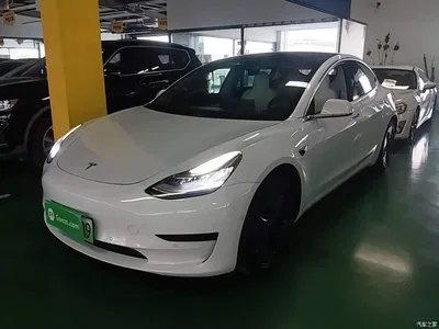 2019 Tesla Model 3 (Import) Long Range RWD Version, фото 2, лот 10439999