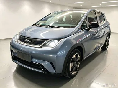 2024 BYD Dolphin Glory Edition 420km Fashion Edition, фото 2, лот 11137527