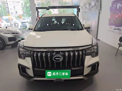 2021 GAC Trumpchi Trumpchi GS8 390T 2WD Luxury Smart Connect Edition (7-seater), фото 3, лот 10422625