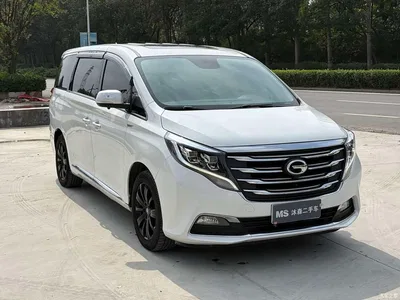 2018 GAC Trumpchi Trumpchi M8 320T Premium Edition, фото 3, лот 11201983