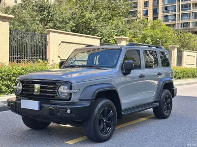 2021 Tank 300 Off-road Version 2.0T Conqueror, фото 1, лот 10356940