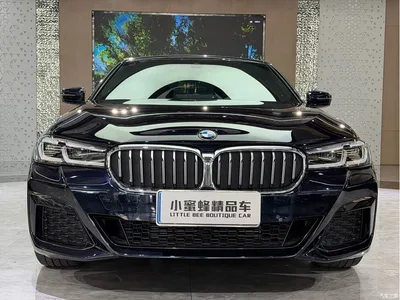 2021 BMW 5 Series 525Li M Sport Package, фото 2, лот 11565602