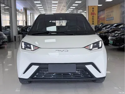 2023 BYD Seagull Freedom Edition, фото 2, лот 10247254