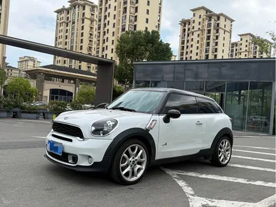 2013 MINI Paceman 1.6T COOPER S ALL4, фото 1, лот 10827314
