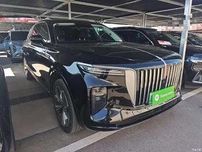 2021 Hongqi E-HS9 460km Flagship Comfort 6-seater, фото 4, лот 11511169