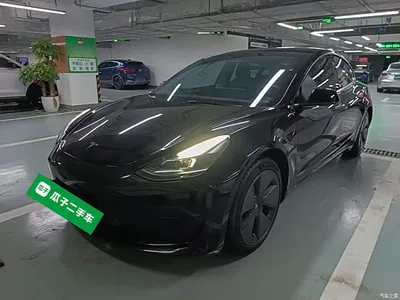 2022 Tesla Model 3 Model Rear-Wheel Drive Version, фото 1, лот 11197341