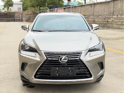 2020 Lexus NX 200 FWD Fengyi Edition China VI, фото 2, лот 10312885
