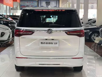 2020 Buick GL8 ES Landglory 653T Flagship, фото 3, лот 10256851