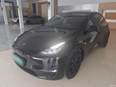 2022 Tesla Model Y Facelift Long Range All-Wheel Drive Version, фото 1, лот 10370134