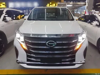 2023 GAC Trumpchi Trumpchi M8 Leading Series 390T Luxury Edition, фото 3, лот 10422342