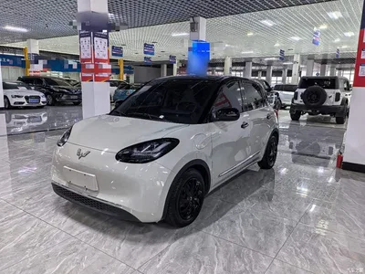 2024 Wuling Motors Wuling Bingo 333km Comfort Edition, фото 1, лот 11460640