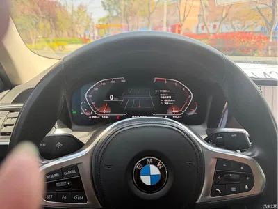 2021 BMW 3 Series 320Li M Sport Package, фото 4, лот 10457143
