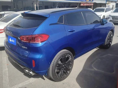2017 WEY VV5 2.0T Flagship Model, фото 3, лот 11549140