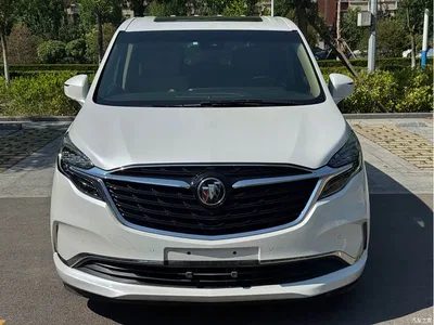 2021 Buick GL8 ES Landlord 653T Flagship, фото 2, лот 10252093