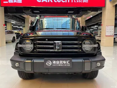 2021 Tank 300 Urban Edition 2.0T Stylish, фото 2, лот 11569438
