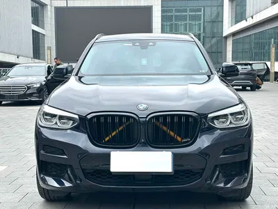 2019 BMW X3 xDrive30i Premium M Sport Package, фото 2, лот 10394004