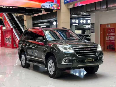 2016 Haval H9 2.0T 4WD Luxury 7-seater, фото 3, лот 10283769
