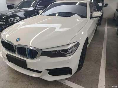 2019 BMW 5 Series (Import), фото 1, лот 11136307